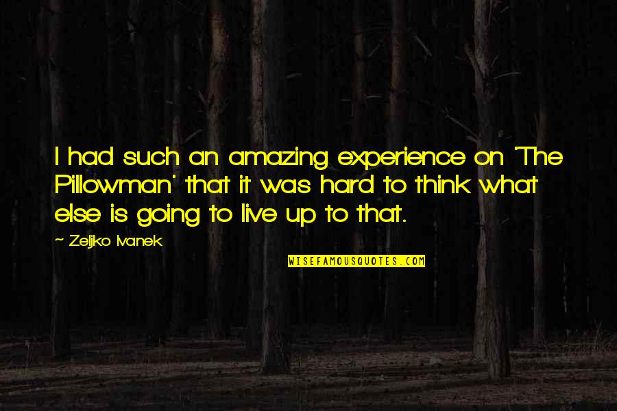 Verslas Nuo Quotes By Zeljko Ivanek: I had such an amazing experience on 'The