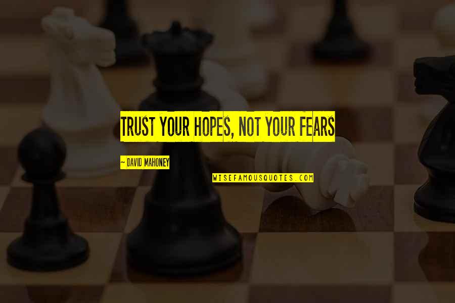 Versluys Oosteroever Quotes By David Mahoney: Trust your hopes, not your fears