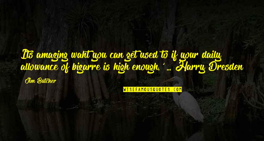 Versprechen Denver Quotes By Jim Butcher: Its amazing waht you can get used to Versprechen Denver Quotes By Jim Butcher: Its amazing waht you can get used to