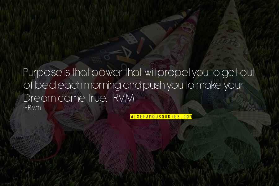 Verstraeten Michel Quotes By R.v.m.: Purpose is that power that will propel you