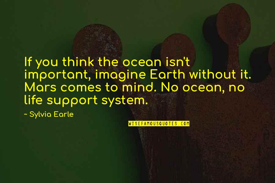 Versurs Quotes By Sylvia Earle: If you think the ocean isn't important, imagine