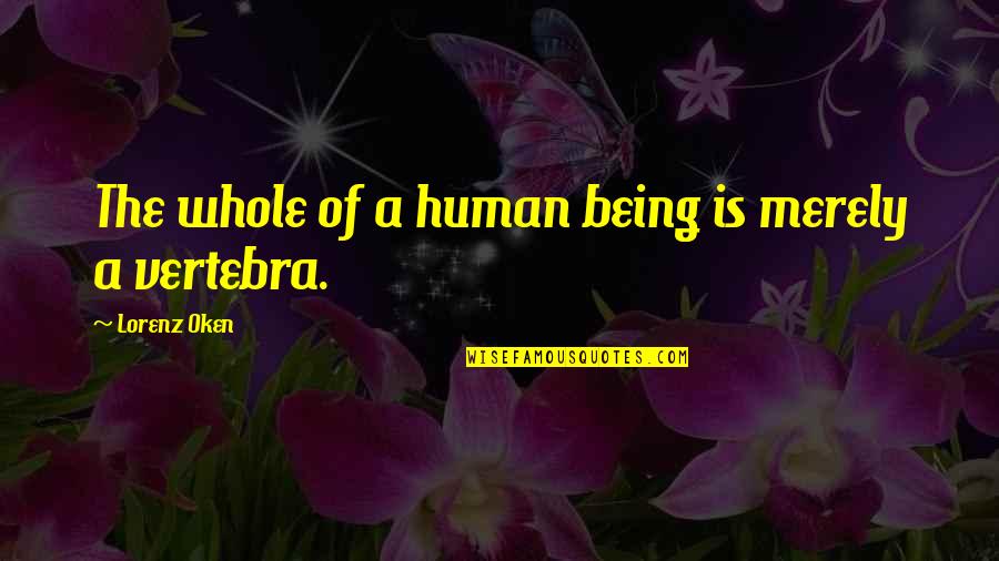 Vertebra Quotes By Lorenz Oken: The whole of a human being is merely Vertebra Quotes By Lorenz Oken: The whole of a human being is merely