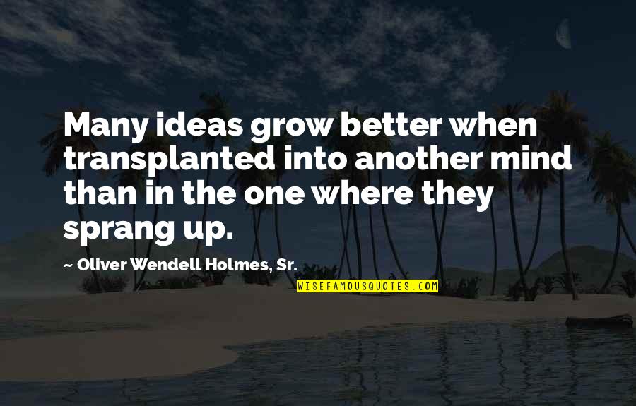 Vertebral Quotes By Oliver Wendell Holmes, Sr.: Many ideas grow better when transplanted into another