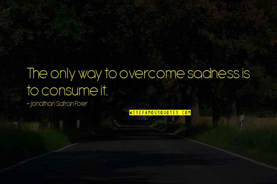 Verteerd Quotes By Jonathan Safran Foer: The only way to overcome sadness is to Verteerd Quotes By Jonathan Safran Foer: The only way to overcome sadness is to