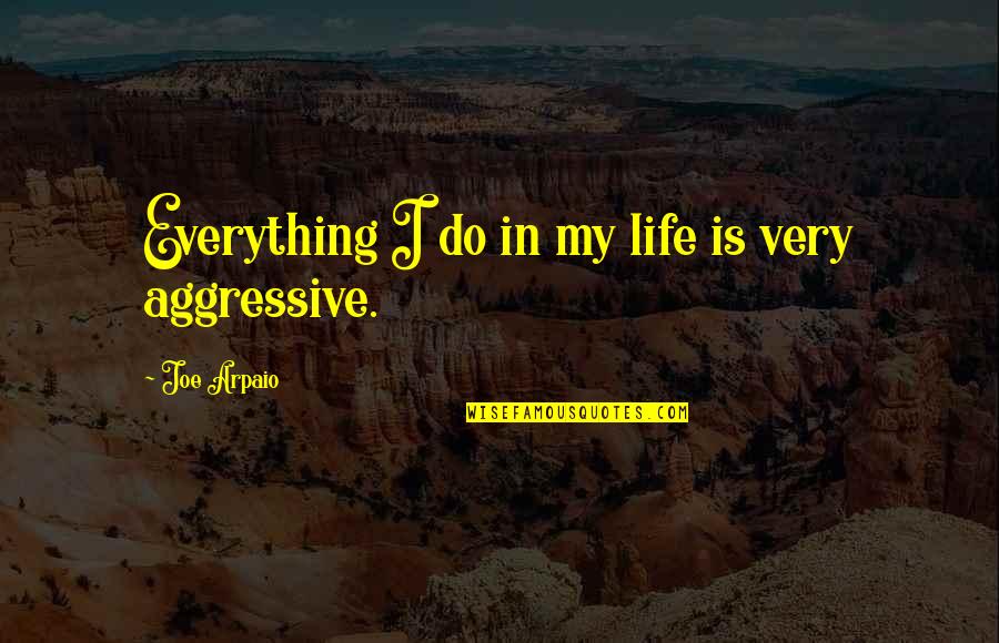 Very Aggressive Quotes By Joe Arpaio: Everything I do in my life is very
