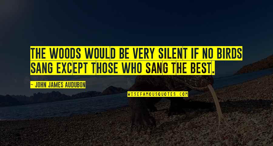 Very Best Inspirational Quotes By John James Audubon: The woods would be very silent if no