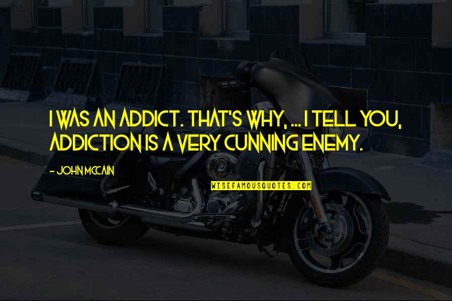 Very Cunning Quotes By John McCain: I was an addict. That's why, ... I