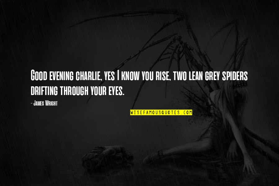 Very Good Evening Quotes By James Wright: Good evening charlie, yes I know you rise,