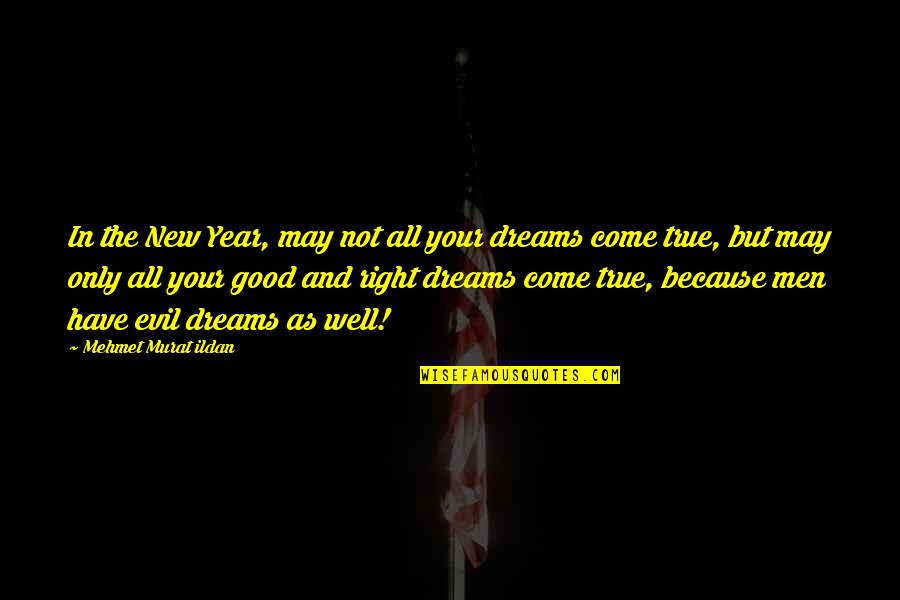 Very Good New Year Quotes By Mehmet Murat Ildan: In the New Year, may not all your