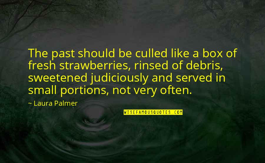 Very Inspirational Quotes By Laura Palmer: The past should be culled like a box