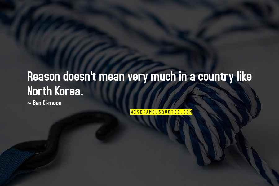 Very Mean Quotes By Ban Ki-moon: Reason doesn't mean very much in a country