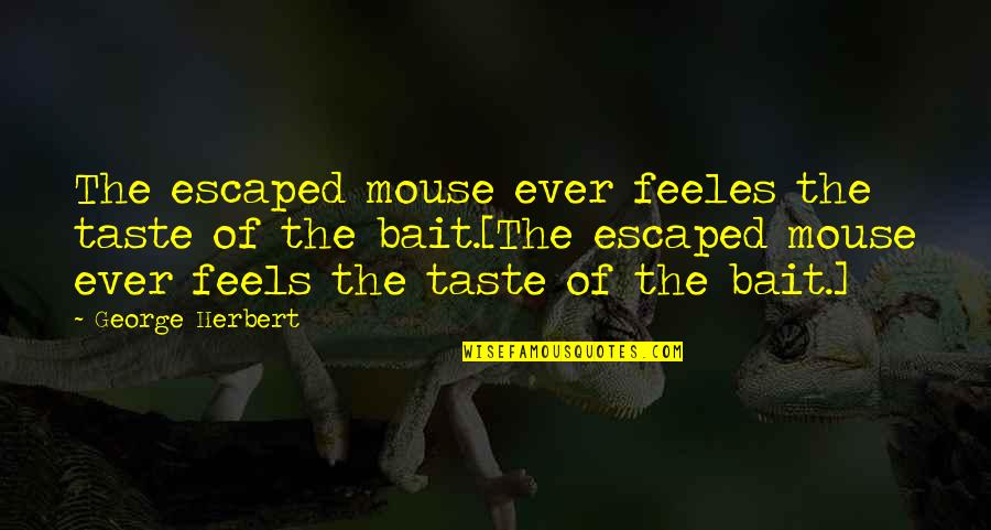 Very Nice And Cute Quotes By George Herbert: The escaped mouse ever feeles the taste of