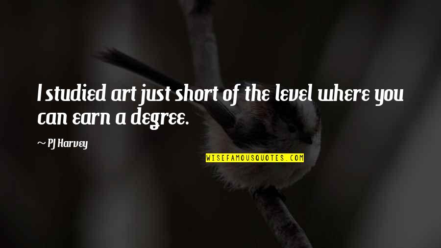 Very Short Art Quotes By PJ Harvey: I studied art just short of the level