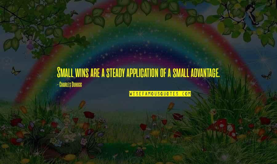 Very Small Inspirational Quotes By Charles Duhigg: Small wins are a steady application of a