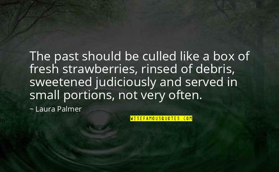 Very Small Inspirational Quotes By Laura Palmer: The past should be culled like a box