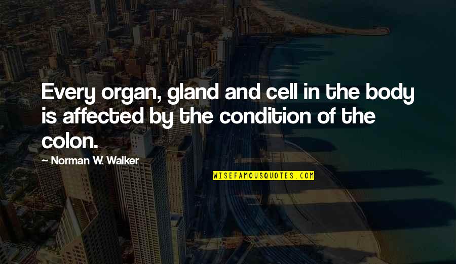 Very Special Friend Quotes By Norman W. Walker: Every organ, gland and cell in the body