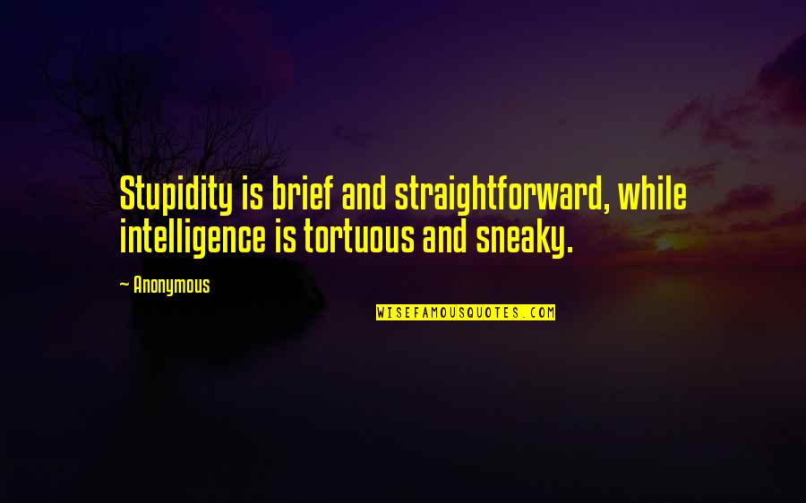 Very Straightforward Quotes By Anonymous: Stupidity is brief and straightforward, while intelligence is