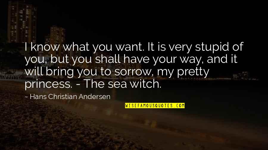 Very Stupid Quotes By Hans Christian Andersen: I know what you want. It is very