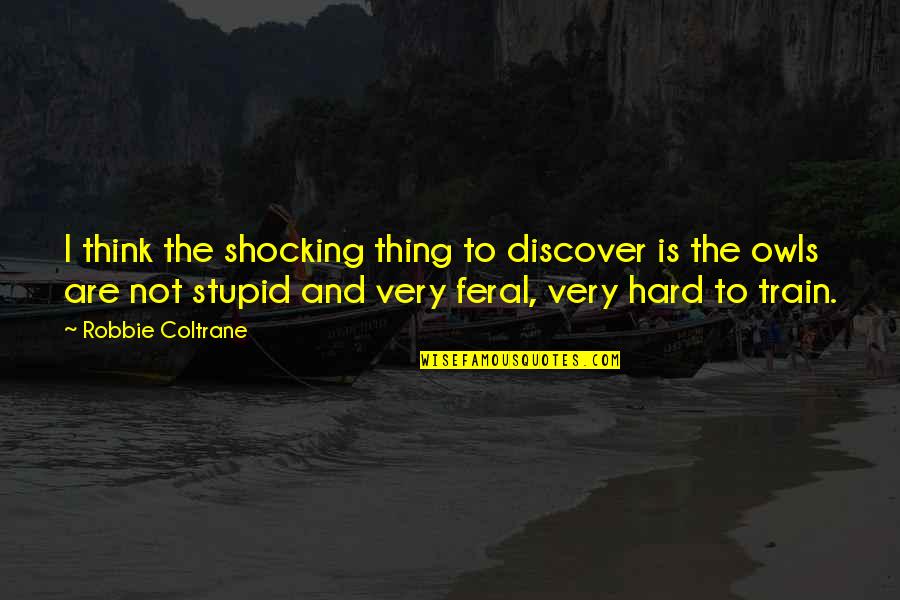 Very Stupid Quotes By Robbie Coltrane: I think the shocking thing to discover is