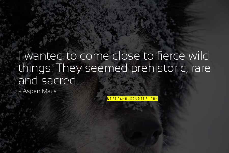 Verywell Quotes By Aspen Matis: I wanted to come close to fierce wild Verywell Quotes By Aspen Matis: I wanted to come close to fierce wild