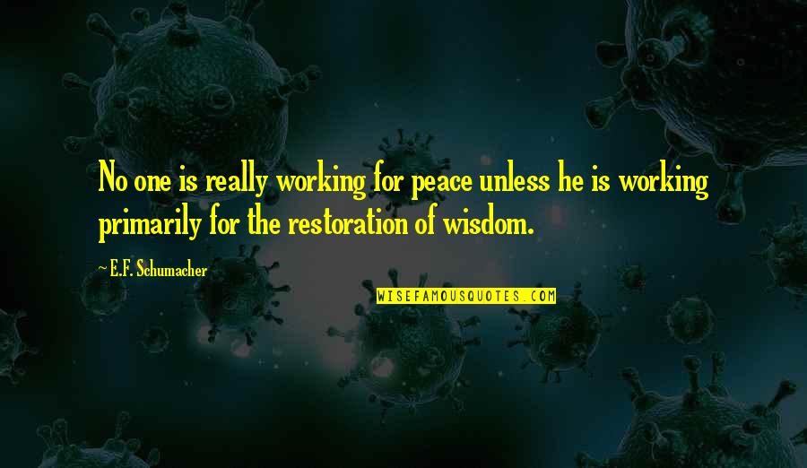 Verzoening Betekenis Quotes By E.F. Schumacher: No one is really working for peace unless