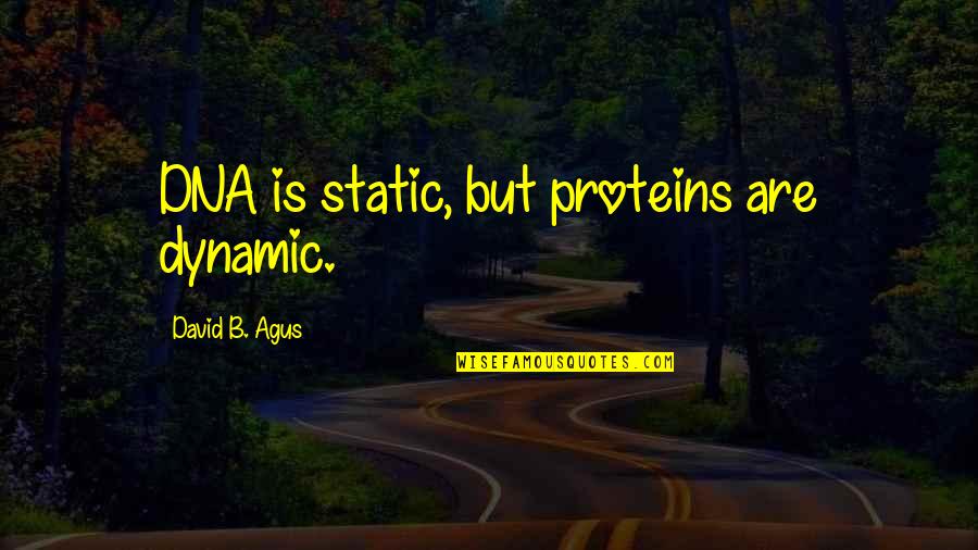 Veselin Marinov Quotes By David B. Agus: DNA is static, but proteins are dynamic.