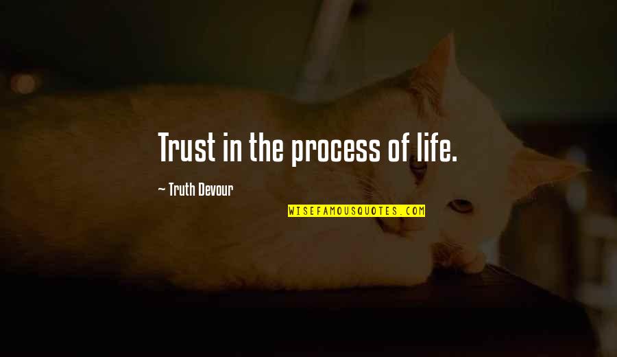 Veselina Tomova Quotes By Truth Devour: Trust in the process of life.