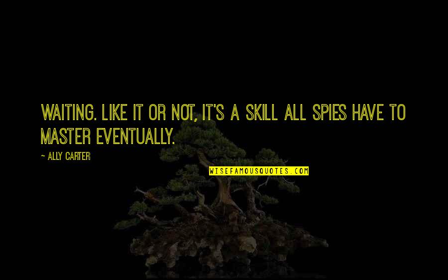 Vessel At Hudson Quotes By Ally Carter: Waiting. Like it or not, it's a skill