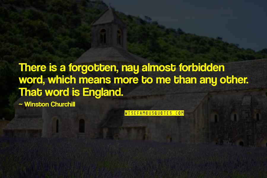 Vestigial Quotes By Winston Churchill: There is a forgotten, nay almost forbidden word,