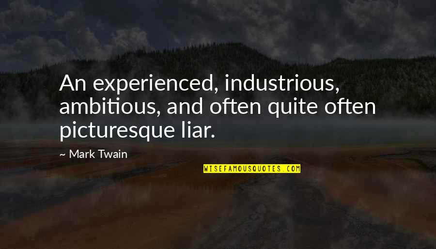 Vesuviana Quotes By Mark Twain: An experienced, industrious, ambitious, and often quite often