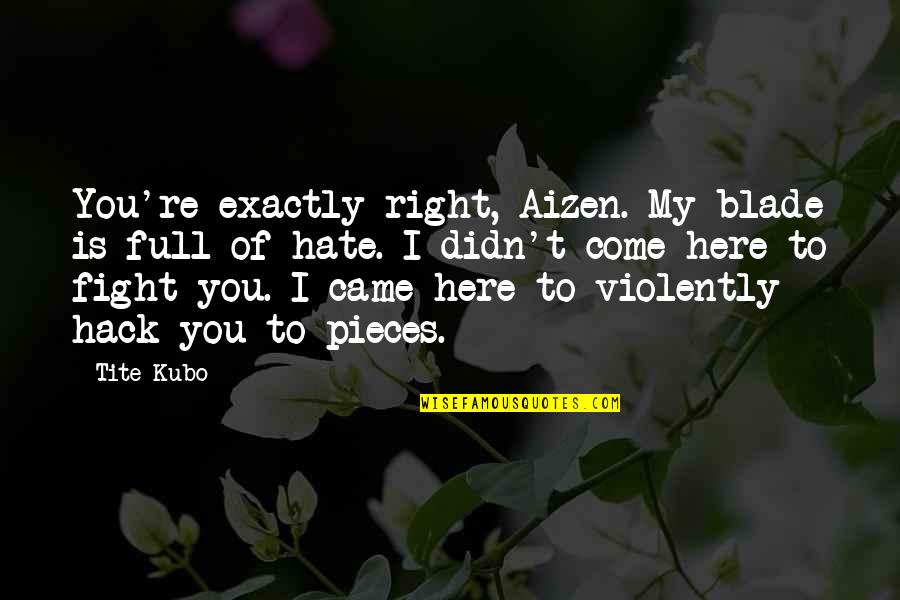 Vetllar Quotes By Tite Kubo: You're exactly right, Aizen. My blade is full Vetllar Quotes By Tite Kubo: You're exactly right, Aizen. My blade is full