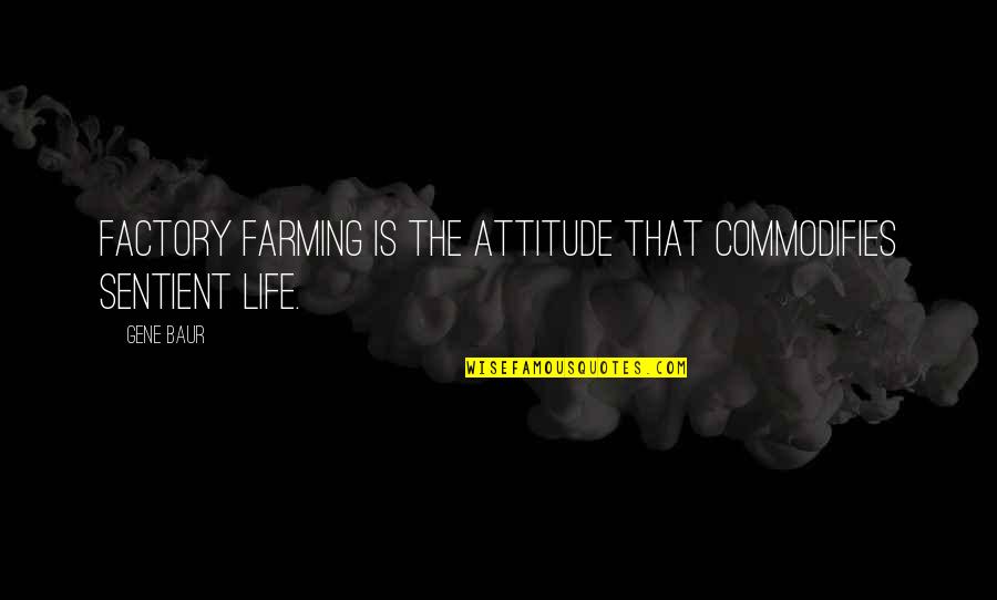 Vetrov Quotes By Gene Baur: Factory farming is the attitude that commodifies sentient