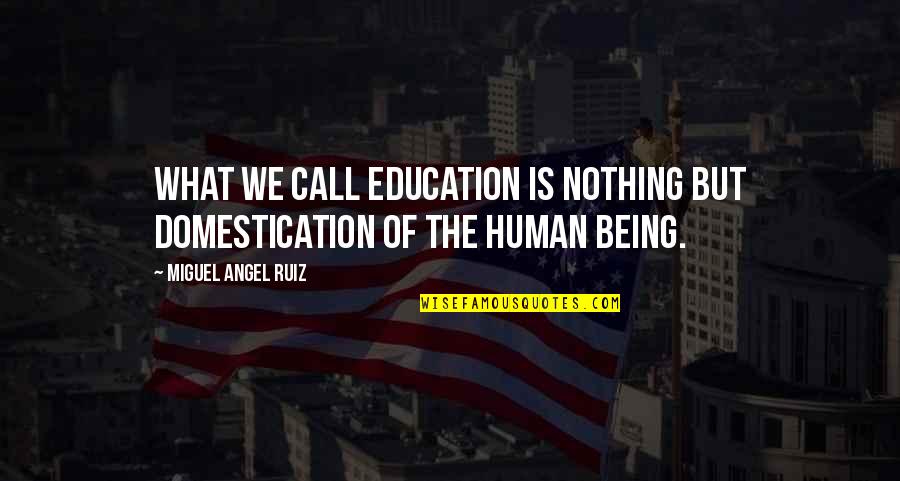 Vex Robotics Quotes By Miguel Angel Ruiz: What we call education is nothing but domestication
