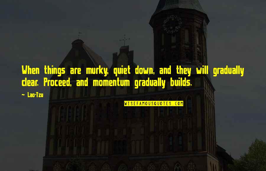Veytia Hays Quotes By Lao-Tzu: When things are murky, quiet down, and they