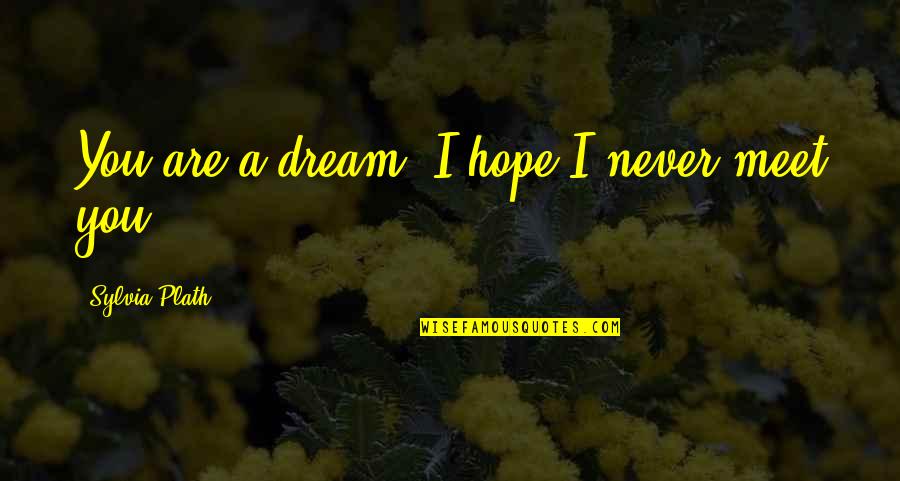 Vezmar Poliklinika Quotes By Sylvia Plath: You are a dream; I hope I never