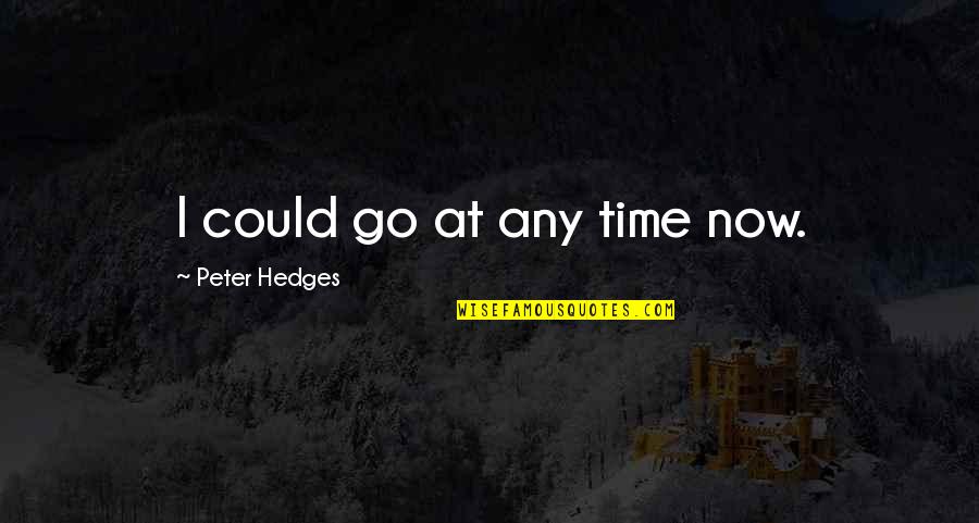 Vfc Airsoft Quotes By Peter Hedges: I could go at any time now.