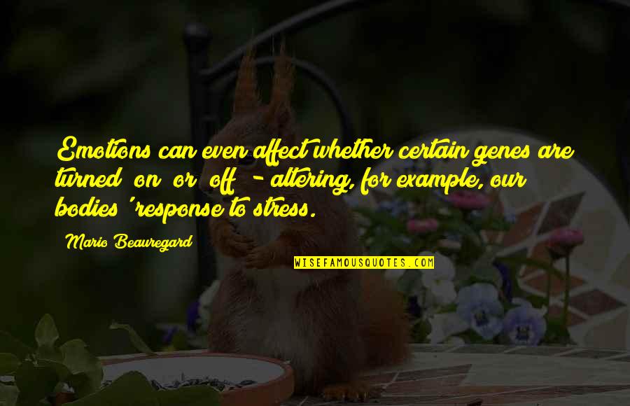 Vharazipi Quotes By Mario Beauregard: Emotions can even affect whether certain genes are Vharazipi Quotes By Mario Beauregard: Emotions can even affect whether certain genes are