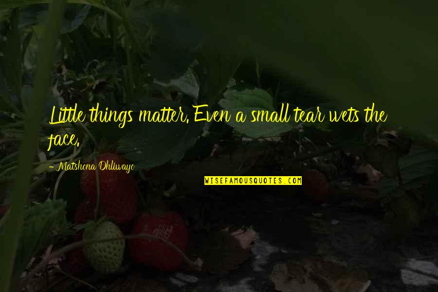 Vhila Quotes By Matshona Dhliwayo: Little things matter. Even a small tear wets