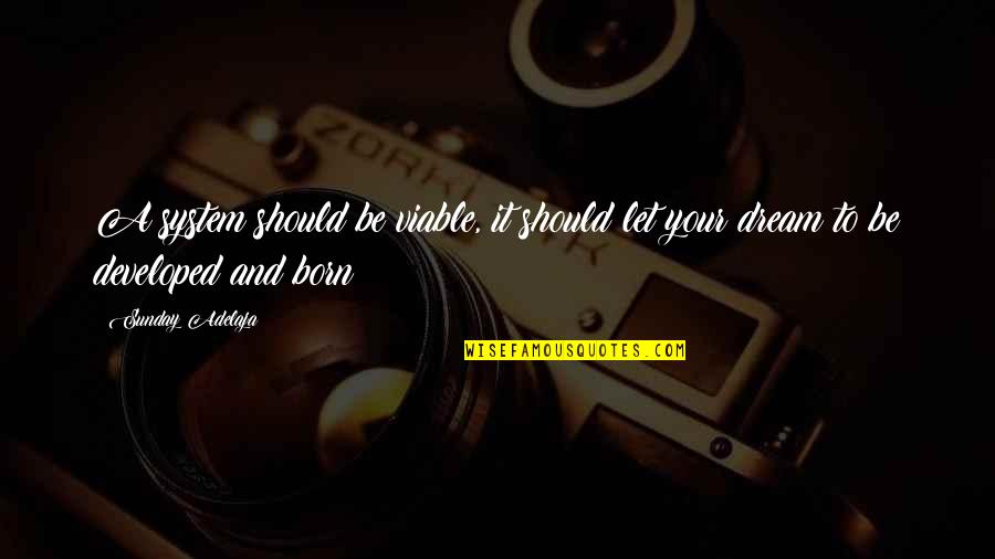 Viable Quotes By Sunday Adelaja: A system should be viable, it should let