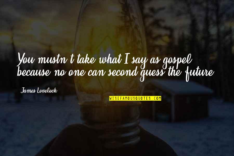 Vibhishana Gita Quotes By James Lovelock: You mustn't take what I say as gospel
