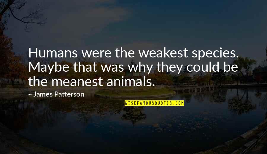 Vibhishana Gita Quotes By James Patterson: Humans were the weakest species. Maybe that was Vibhishana Gita Quotes By James Patterson: Humans were the weakest species. Maybe that was