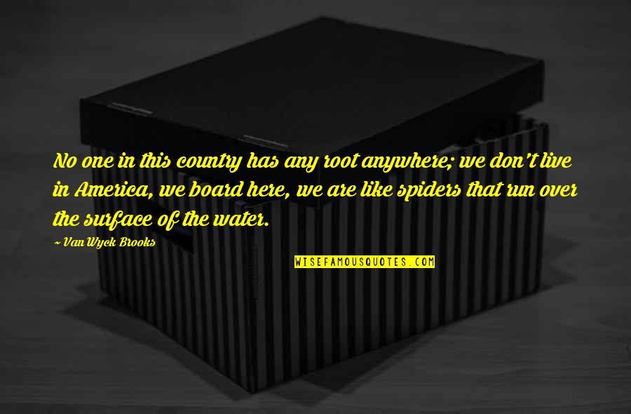 Vibraciones Positivas Quotes By Van Wyck Brooks: No one in this country has any root Vibraciones Positivas Quotes By Van Wyck Brooks: No one in this country has any root