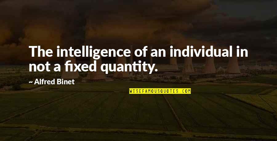Vibrant Your Life Quotes By Alfred Binet: The intelligence of an individual in not a