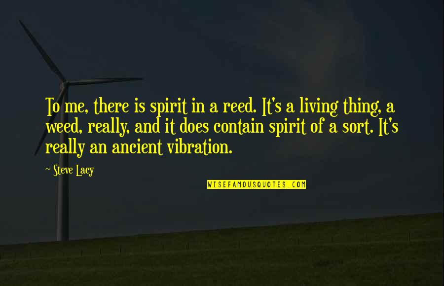 Vibration Quotes By Steve Lacy: To me, there is spirit in a reed.