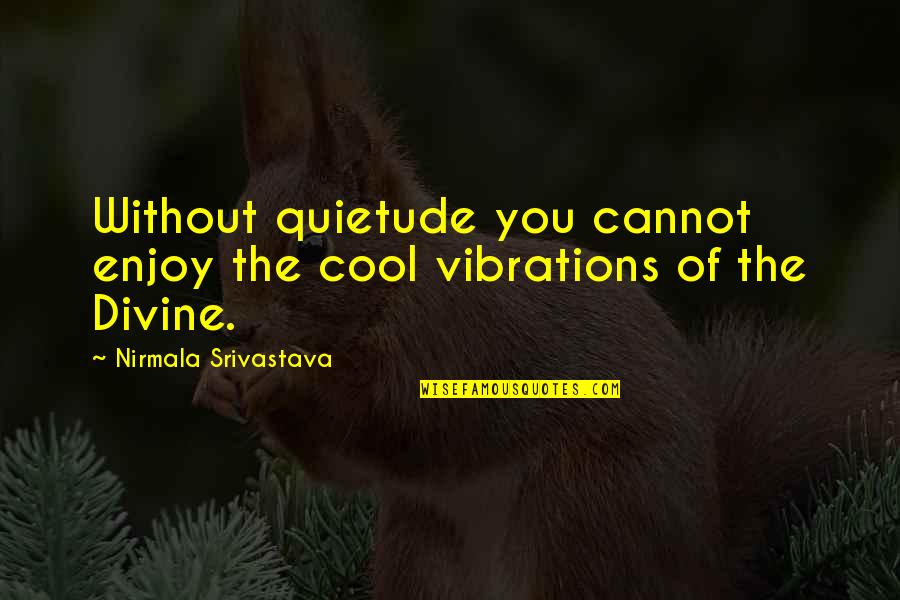 Vibrations Quotes By Nirmala Srivastava: Without quietude you cannot enjoy the cool vibrations