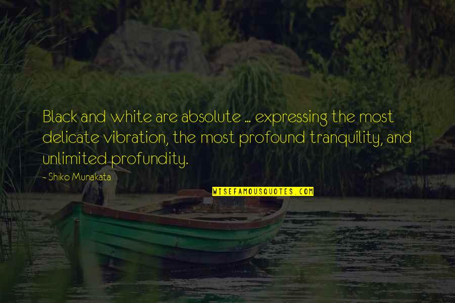 Vibrations Quotes By Shiko Munakata: Black and white are absolute ... expressing the