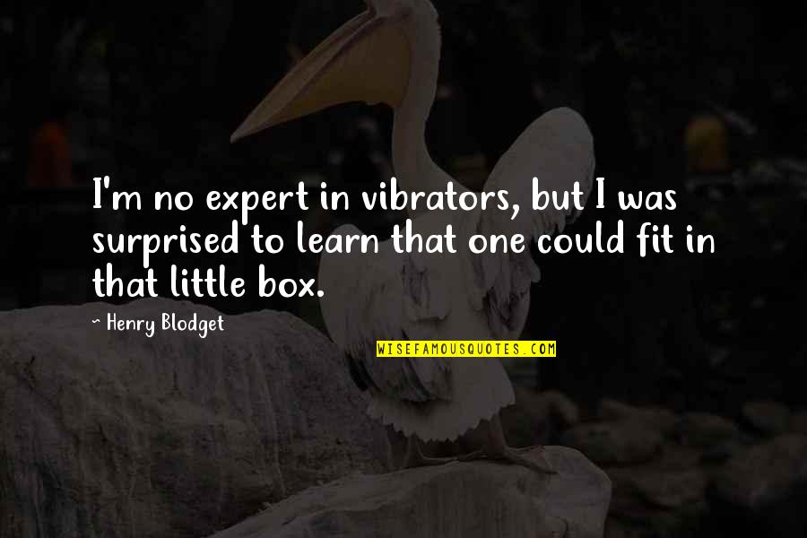 Vibrators Quotes By Henry Blodget: I'm no expert in vibrators, but I was