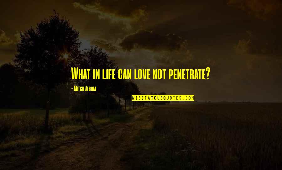 Vibrava Evolve Quotes By Mitch Albom: What in life can love not penetrate?