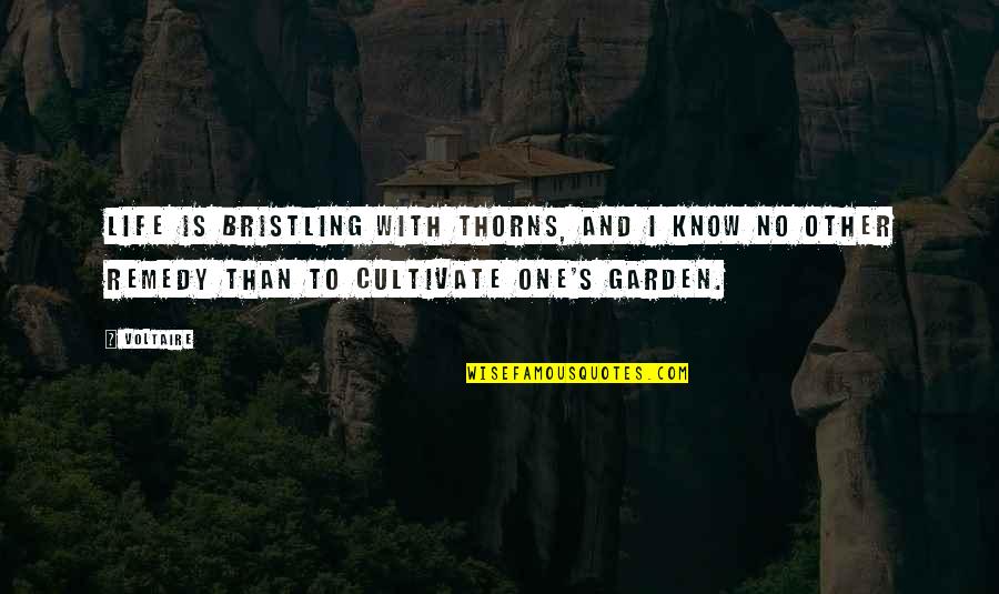 Vic Fuentes Funny Quotes By Voltaire: Life is bristling with thorns, and I know Vic Fuentes Funny Quotes By Voltaire: Life is bristling with thorns, and I know