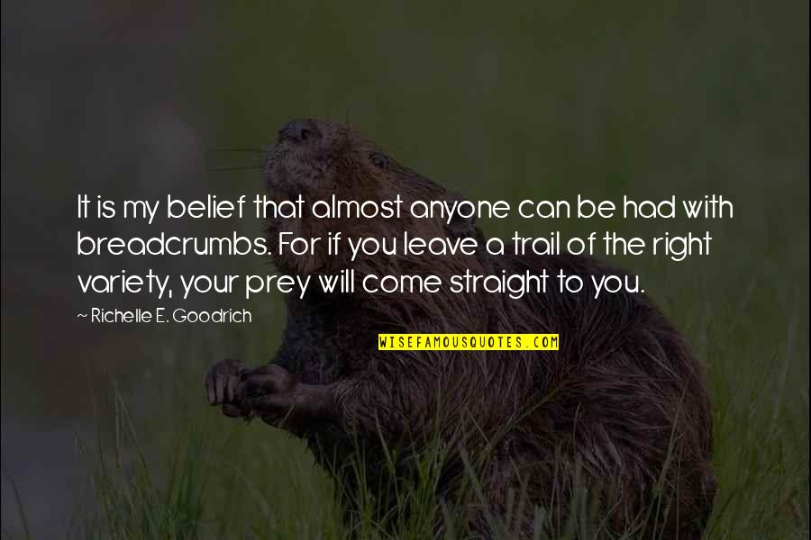 Vicente Kelly Quotes By Richelle E. Goodrich: It is my belief that almost anyone can